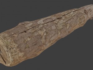 wood log 3D Model