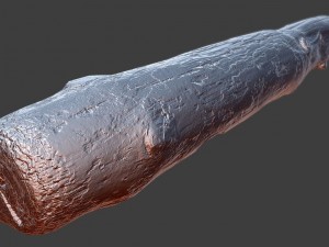 wood log 3D Model