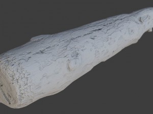 wood log 3D Model