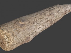 wood log 3D Model