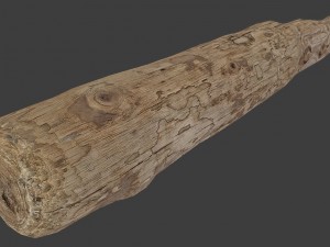 wood log 3D Model