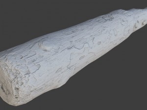 wood log 3D Model