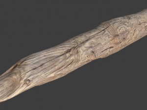 wood log 3D Model