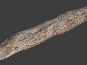 wood log 3D Model