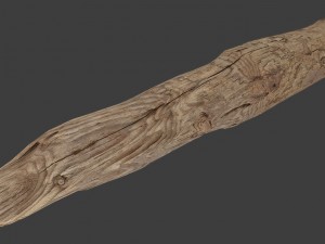 wood log 3D Model