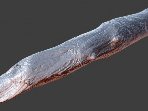 wood log 3D Model