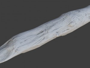 wood log 3D Model