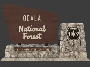 national forest stone sign 3Dモデル
