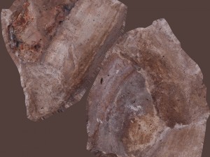 cinder debris 3D 模型