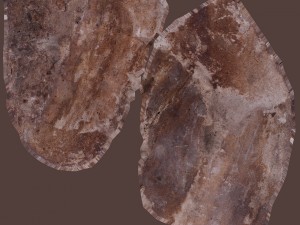 cinder debris Model 3D