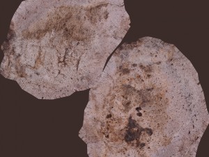 cinder debris Modelo 3D