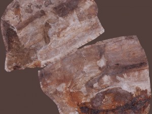 cinder debris Modello 3D