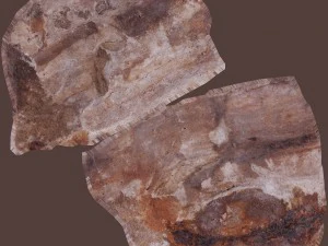 cinder debris 3D Model