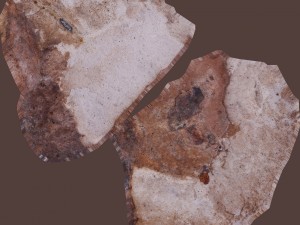 cinder debris Modello 3D