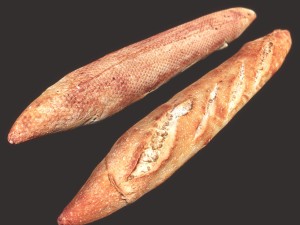 baguette 3Dモデル