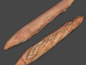 baguette 3D Model