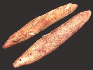 baguette 3D Model