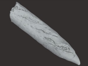baguette cut 3Dモデル