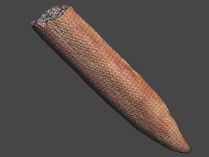 baguette cut 3Dモデル