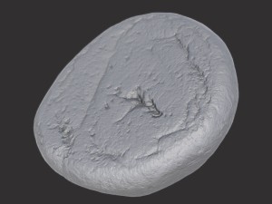 brown bread Modello 3D