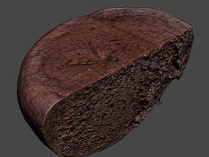 brown bread cut 3D Model