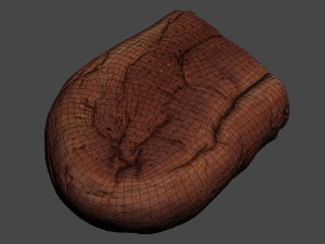 brown loaf of bread cut 3D Model