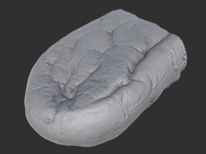 brown loaf of bread cut 3D Model