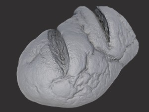 brown loaf of bread cut 3D Model
