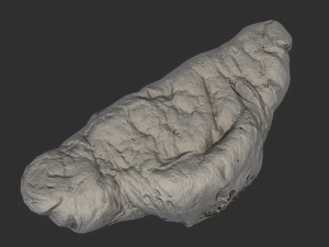 croissant Model 3D