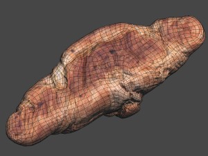 croissant Model 3D