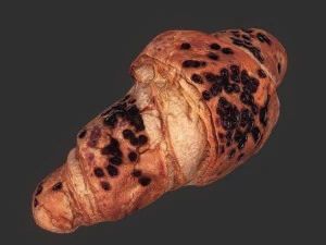 croissant 3D Model