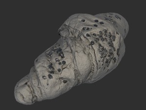 croissant Model 3D