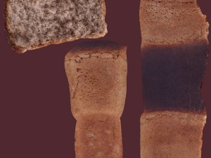 soviet brick bread cut Model 3D