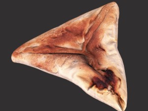 triangle pie 3D Model
