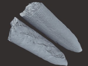 bakery pack 3D Модель