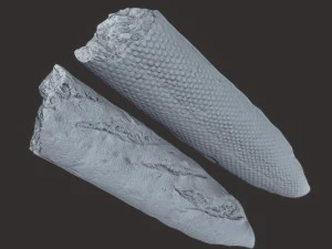 bakery pack 3D Model