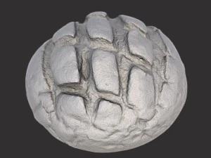 bakery pack 3D Model