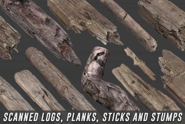 scanned logs planks sticks and stumps 3D Model .c4d .max .obj .3ds .fbx .stl .blend 