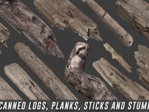 scanned logs planks sticks and stumps 3Dモデル