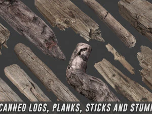 toras escaneadas, tábuas, paus e tocos Modelo 3D