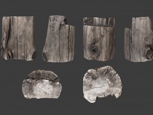 scanned logs planks sticks and stumps 3D Model