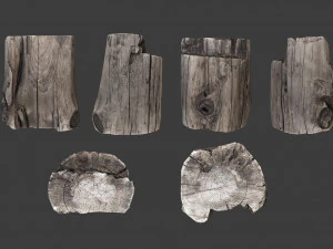 scanned logs planks sticks and stumps 3D Model