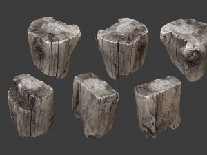 scanned logs planks sticks and stumps 3D Model