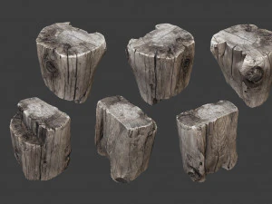 scanned logs planks sticks and stumps 3D Model