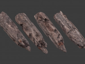 scanned logs planks sticks and stumps 3D Model