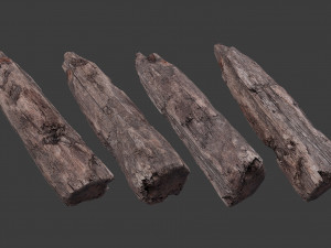 scanned logs planks sticks and stumps 3D Model