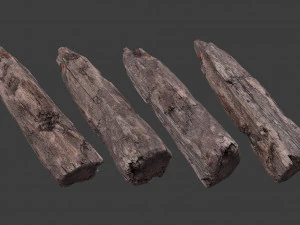 scanned logs planks sticks and stumps 3D Model