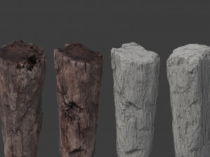 scanned logs planks sticks and stumps 3D Model
