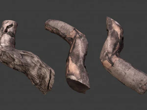 scanned logs planks sticks and stumps 3D Model