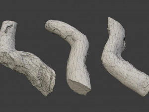 scanned logs planks sticks and stumps 3D Model